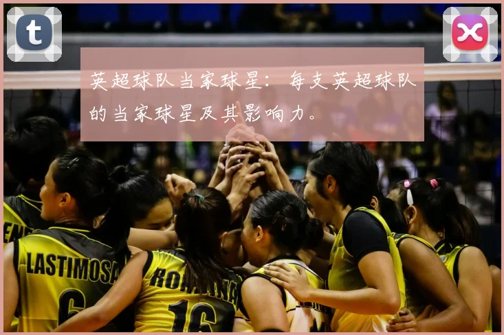 英超球队当家球星:每支英超球队的当家球星及其影响力。