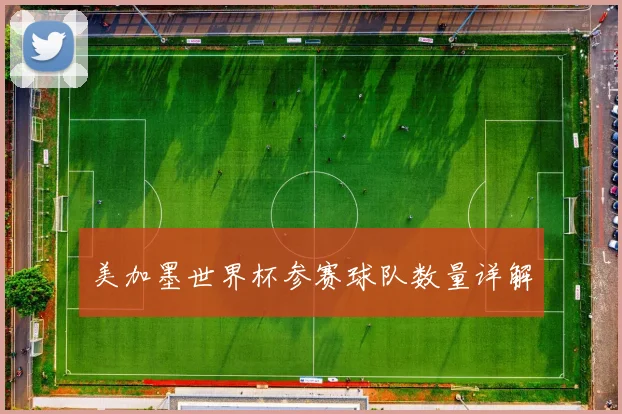 美加墨世界杯参赛球队数量详解