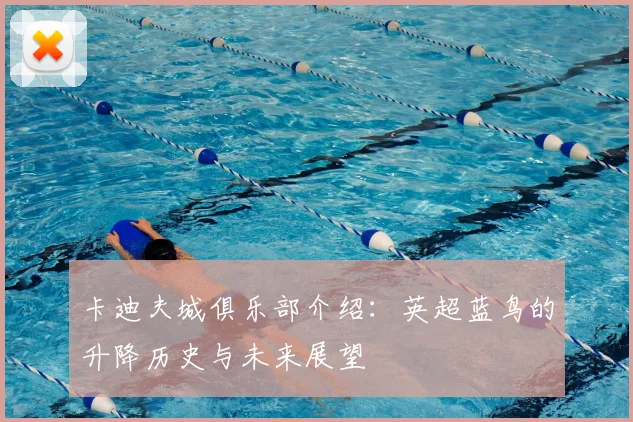 卡迪夫城俱乐部介绍：英超蓝鸟的升降历史与未来展望